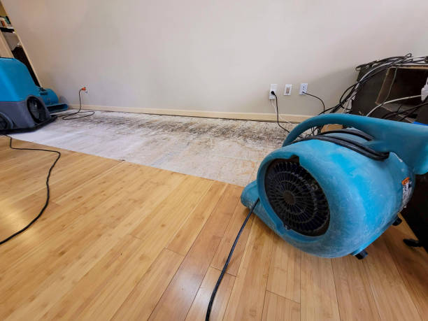 Professional Emergency Water Damage technician working in Ruth, MS